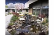 Outdoor garden area with a small cascading water feature surrounded by rocks and various plants, including a blooming tree. The garden is adjacent to a building with large windows and a walkway on the left side.