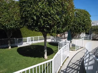 Sunlit courtyard with trimmed trees, green lawn, white safety railings, a paved walkway and patio seating with an umbrella.