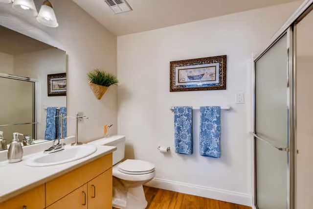 A clean bathroom with a wooden floor, a white toilet, a sink with a countertop and cabinet below, a large mirror above the sink, two blue patterned towels hanging on a towel rack, a framed picture on the wall, a small wall-mounted plant, and a glass-enclosed shower.