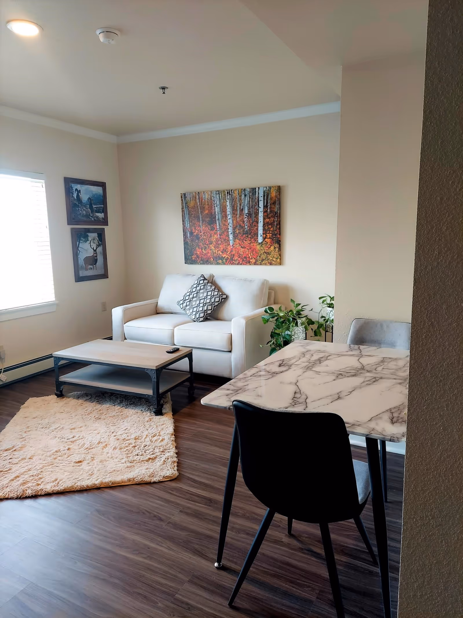 A cozy living room area with a white loveseat adorned with a patterned pillow, a wooden coffee table on a beige shag rug, and a small dining table with a marble-like surface and two chairs. The walls are light beige and decorated with three framed pictures, including a colorful forest scene above the loveseat. A window with blinds allows natural light into the room, and a green plant is placed near the loveseat.