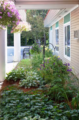 A garden area alongside a beige building with green window shutters. The garden is filled with various green plants and purple flowers. There are hanging flower baskets with pink and purple flowers attached to white pillars. In the background, there are benches and trees.
