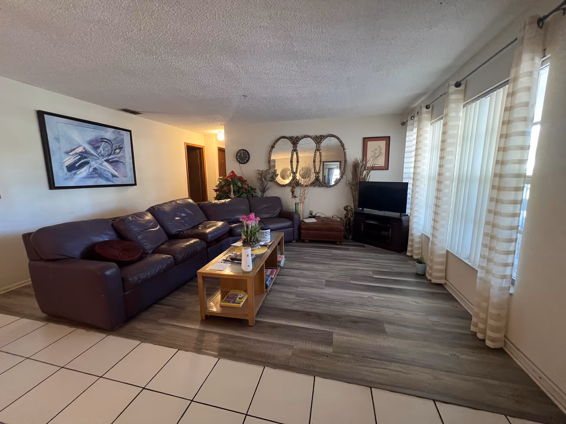 A living room with a large dark brown leather sectional sofa, a wooden coffee table with magazines and a plant on it, a flat-screen TV on a stand in the corner, three decorative mirrors on the wall, a framed painting, and large windows with sheer striped curtains letting in natural light.