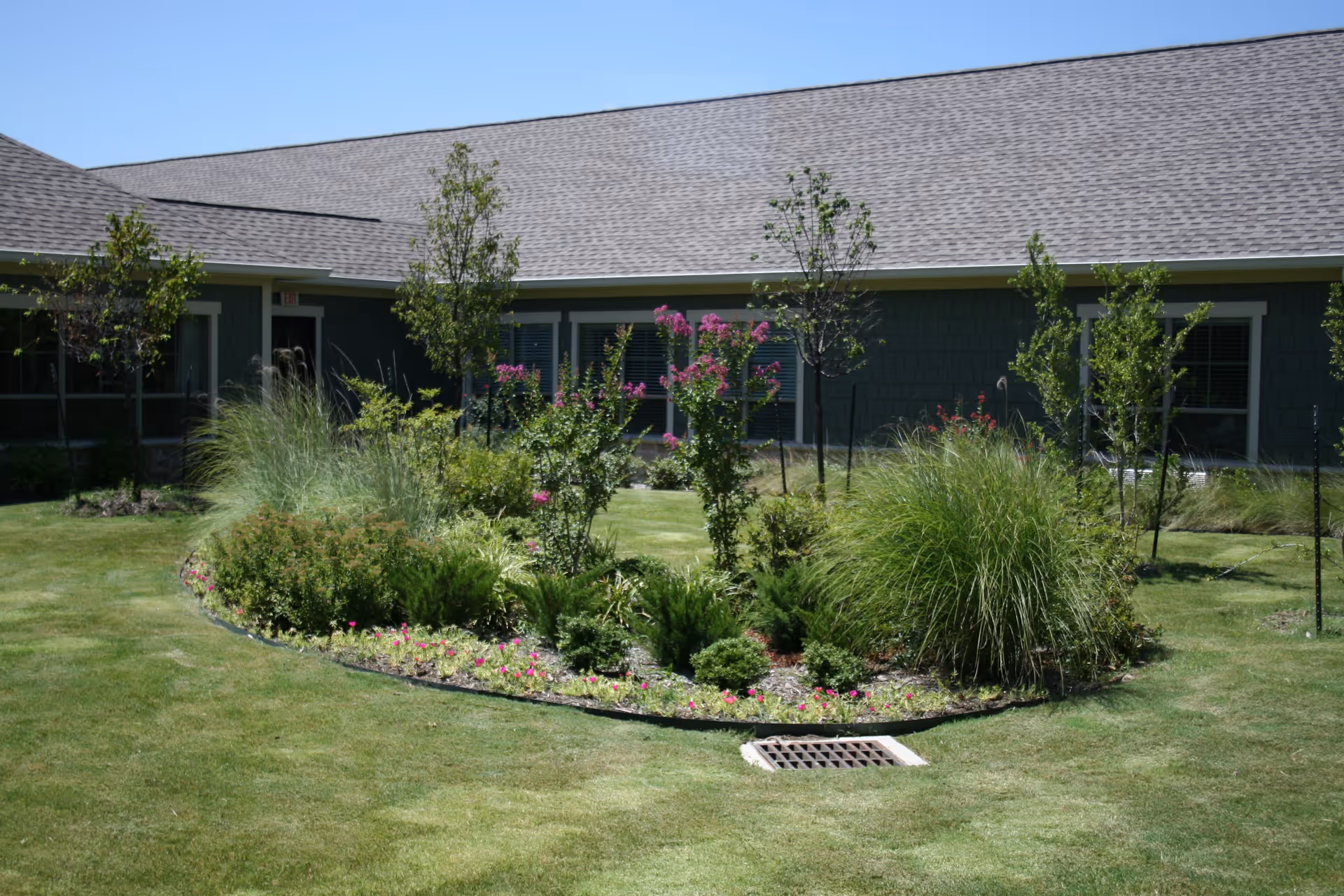 A landscaped garden area with various green shrubs, small trees, and flowering plants in front of a single-story building with a gray roof and green siding under a clear blue sky.