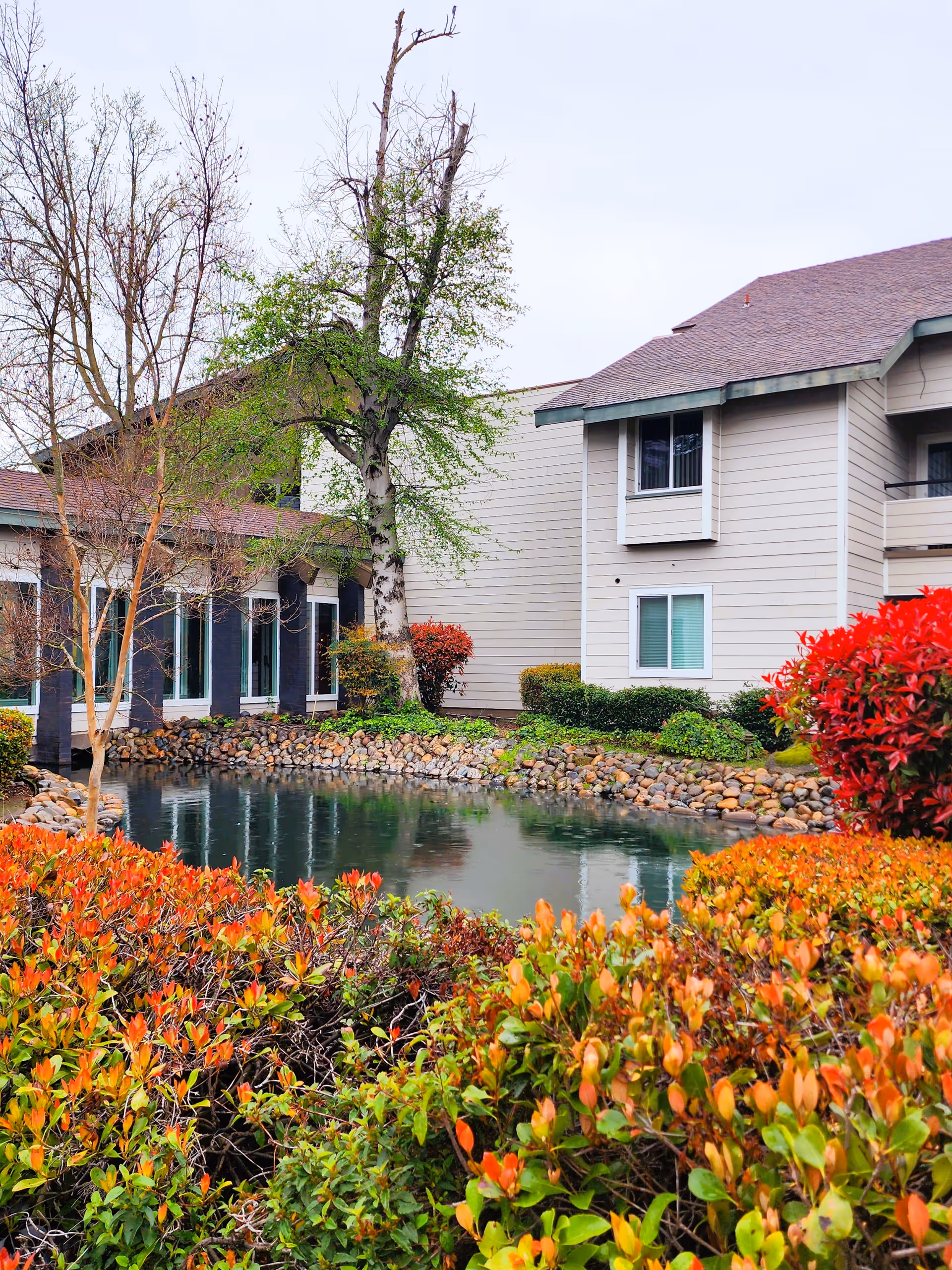 A serene outdoor garden area at The Atrium at Carmichael featuring a small pond surrounded by rocks, colorful bushes with red and orange leaves, and trees with some green and bare branches. Two beige buildings with multiple windows are visible in the background under an overcast sky.