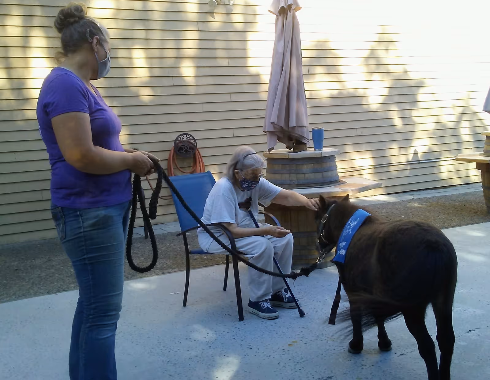 An elderly woman wearing a mask sits on a chair outdoors, petting a small black pony wearing a blue vest. A woman in a purple shirt and jeans, also wearing a mask, stands nearby holding the pony's leash. The setting appears to be a patio area with a beige siding wall, a closed umbrella, and barrel-style tables.