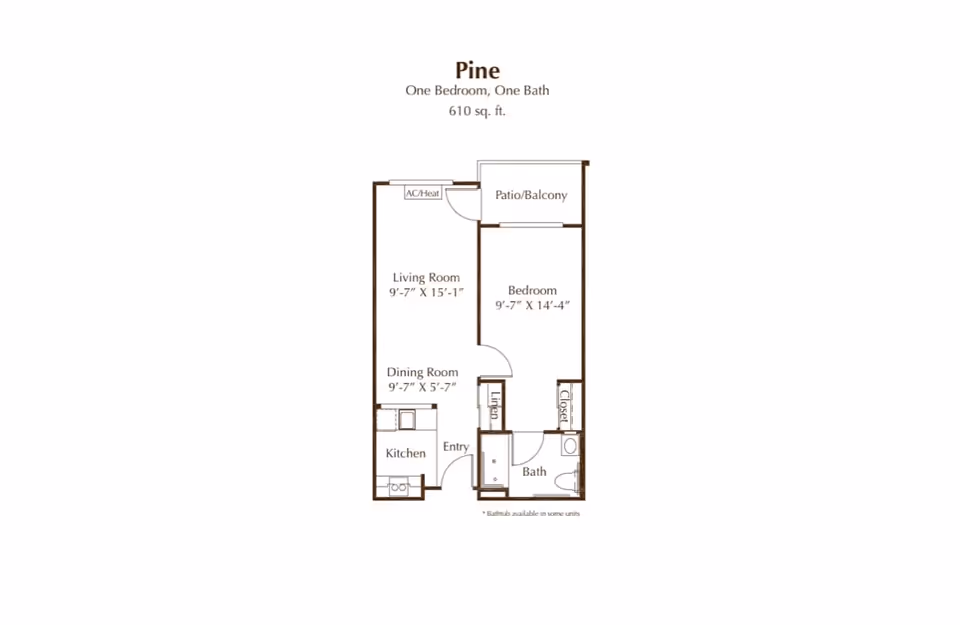 Floor plan labeled Pine showing a one bedroom, one bath apartment with 610 square feet. The layout includes a kitchen, dining room, living room, bedroom, bathroom, closet, linen closet, entry, and a patio/balcony.