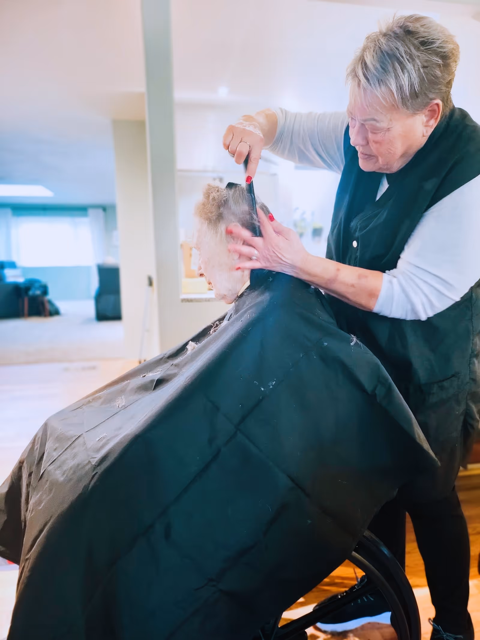 An elderly person seated in a wheelchair is getting a haircut from a caregiver or stylist inside a well-lit room with wooden floors and light-colored walls. The elderly person is covered with a black haircut cape, and the caregiver is focused on combing their hair.