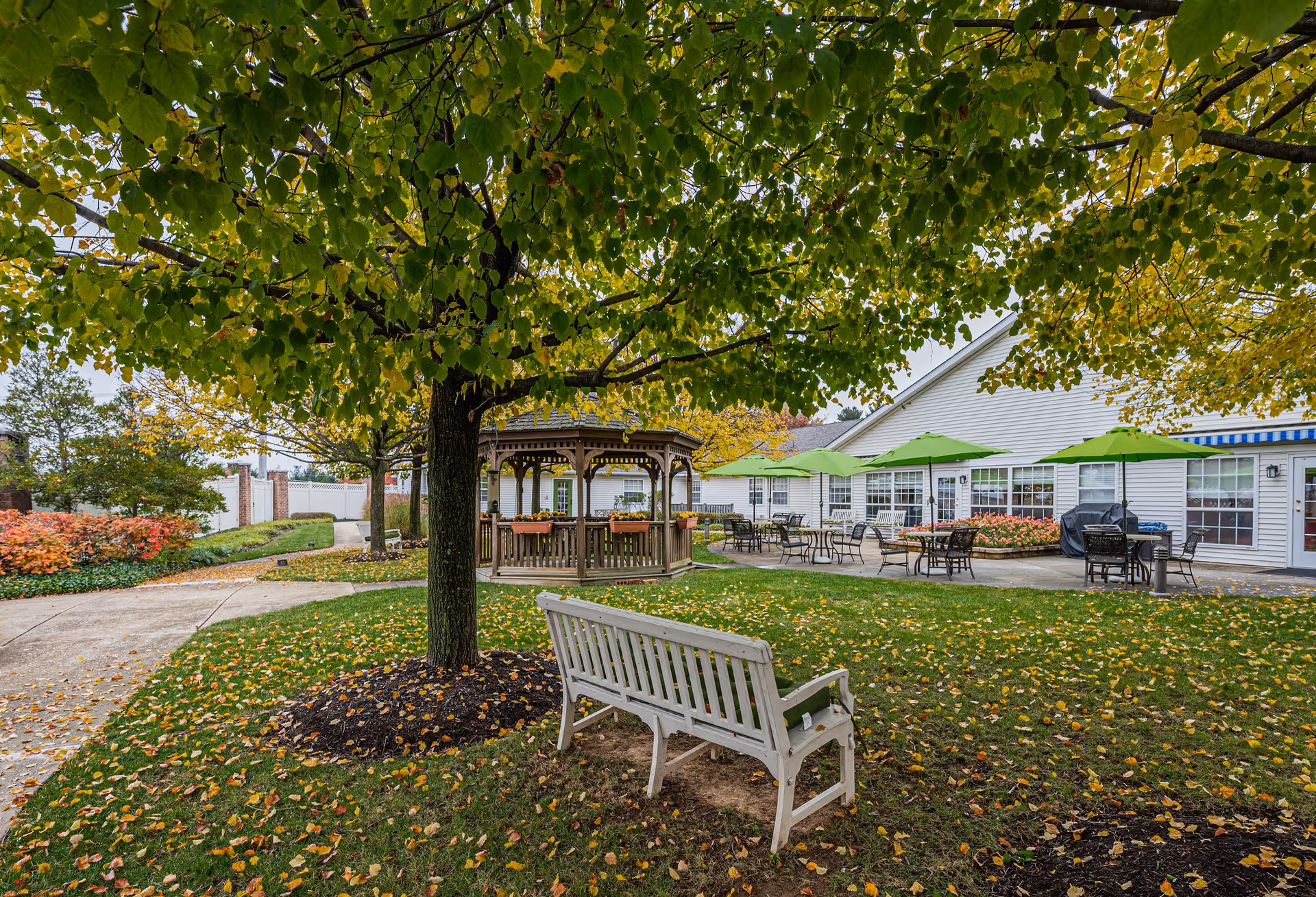 Outdoor garden area at Arden Courts - ProMedica Memory Care Community (Pikesville) featuring a large tree with green leaves, a white bench, a wooden gazebo, patio tables with green umbrellas, and a building with white siding in the background.