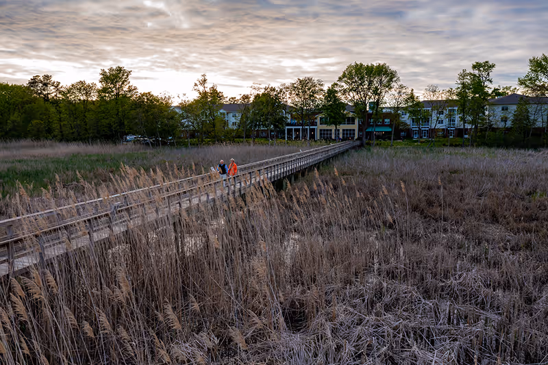 A long wooden boardwalk stretches over a marshy area with tall dry grasses, leading towards a building complex partially obscured by trees under a cloudy sky at sunset. Two people are walking on the boardwalk.