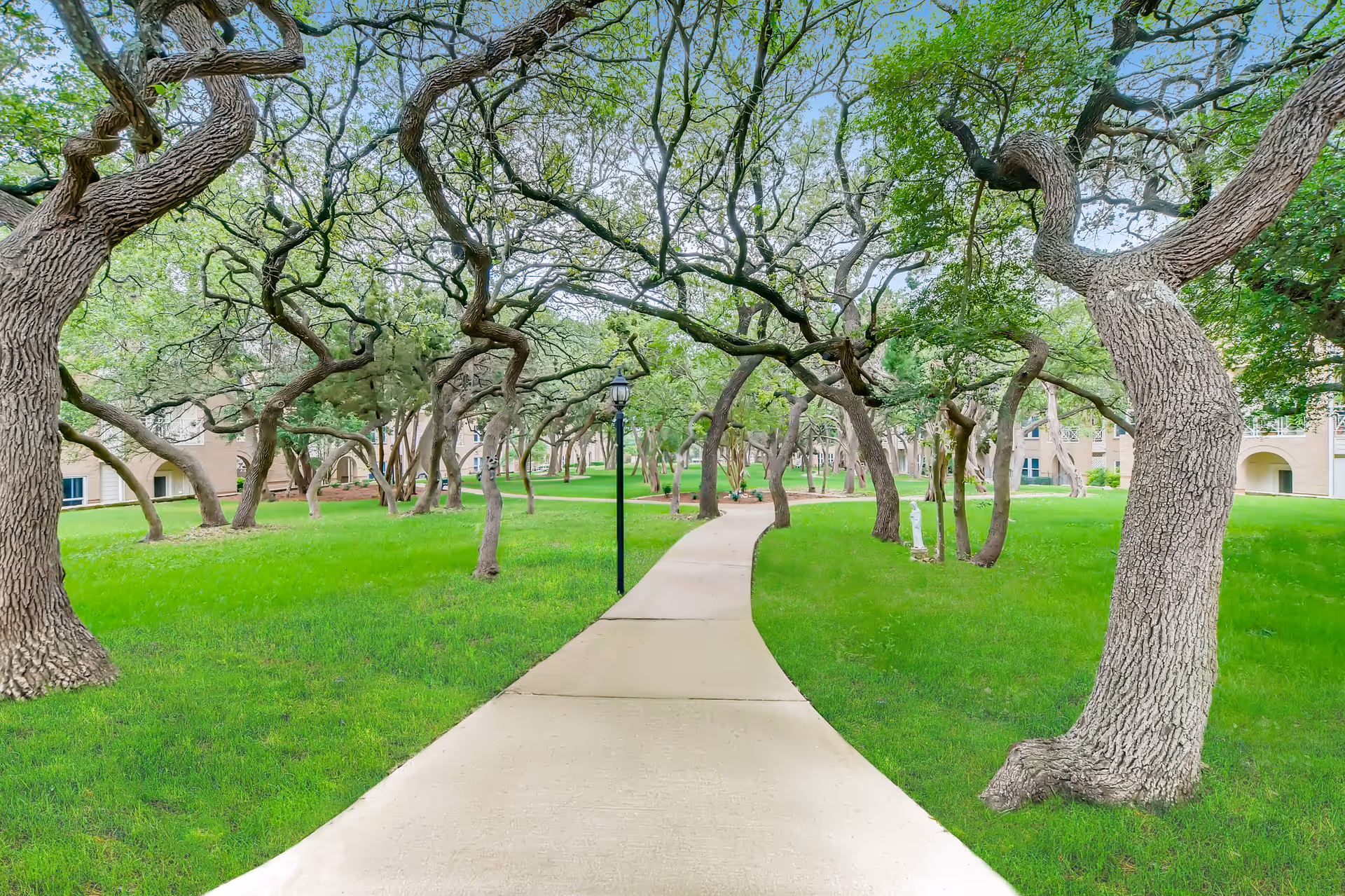 A winding concrete pathway through a green lawn with numerous mature, twisted trees on both sides. In the background, parts of a beige building with arched doorways and windows are visible. A black lamp post stands along the path.