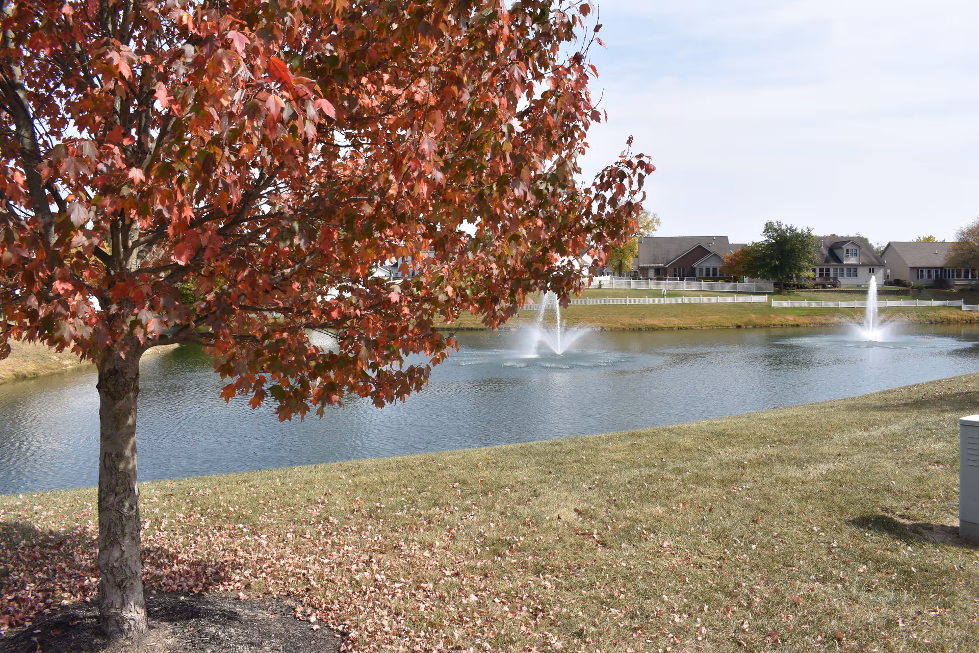 A scenic outdoor view featuring a tree with red autumn leaves in the foreground, a pond with two water fountains in the middle, and houses with white fences in the background under a partly cloudy sky.