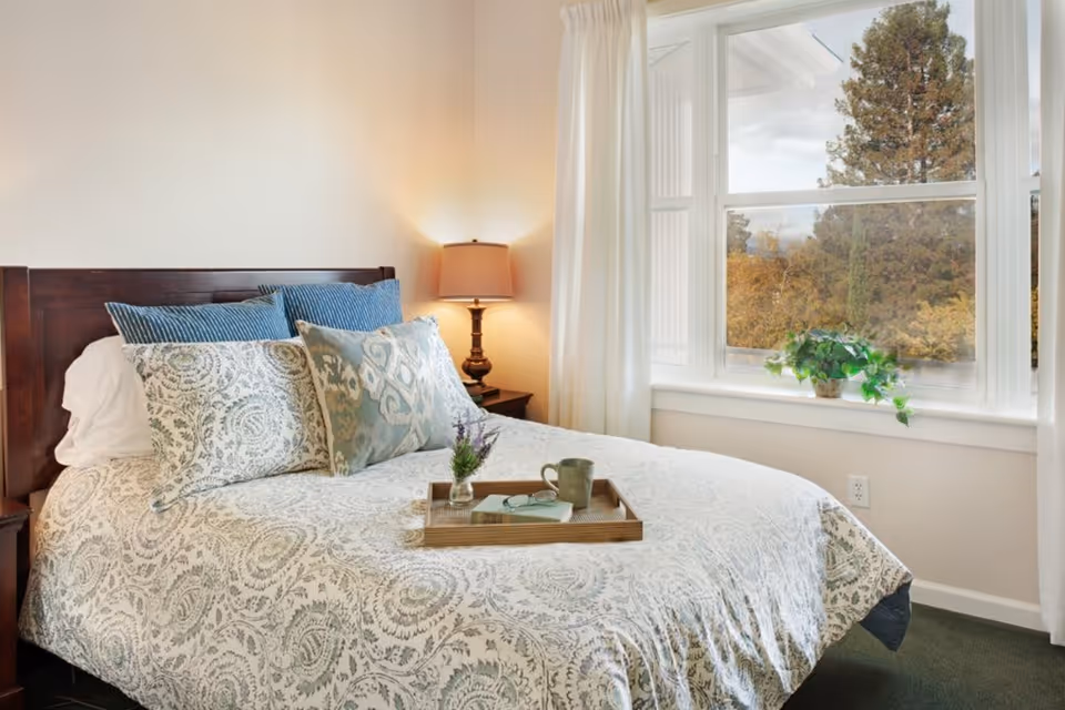 A cozy bedroom with a neatly made bed featuring patterned bedding and multiple pillows. A wooden headboard is visible, along with a bedside table holding a lamp. A large window with white curtains lets in natural light and shows trees outside. A small green plant sits on the windowsill.