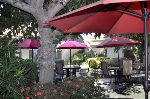 Outdoor patio with tables, chairs, and red umbrellas under trees.