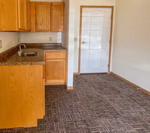 Small kitchenette area with wooden cabinets, a countertop with a sink, and a closed white door with a gold handle. The floor is covered with patterned carpet and the walls are plain white.