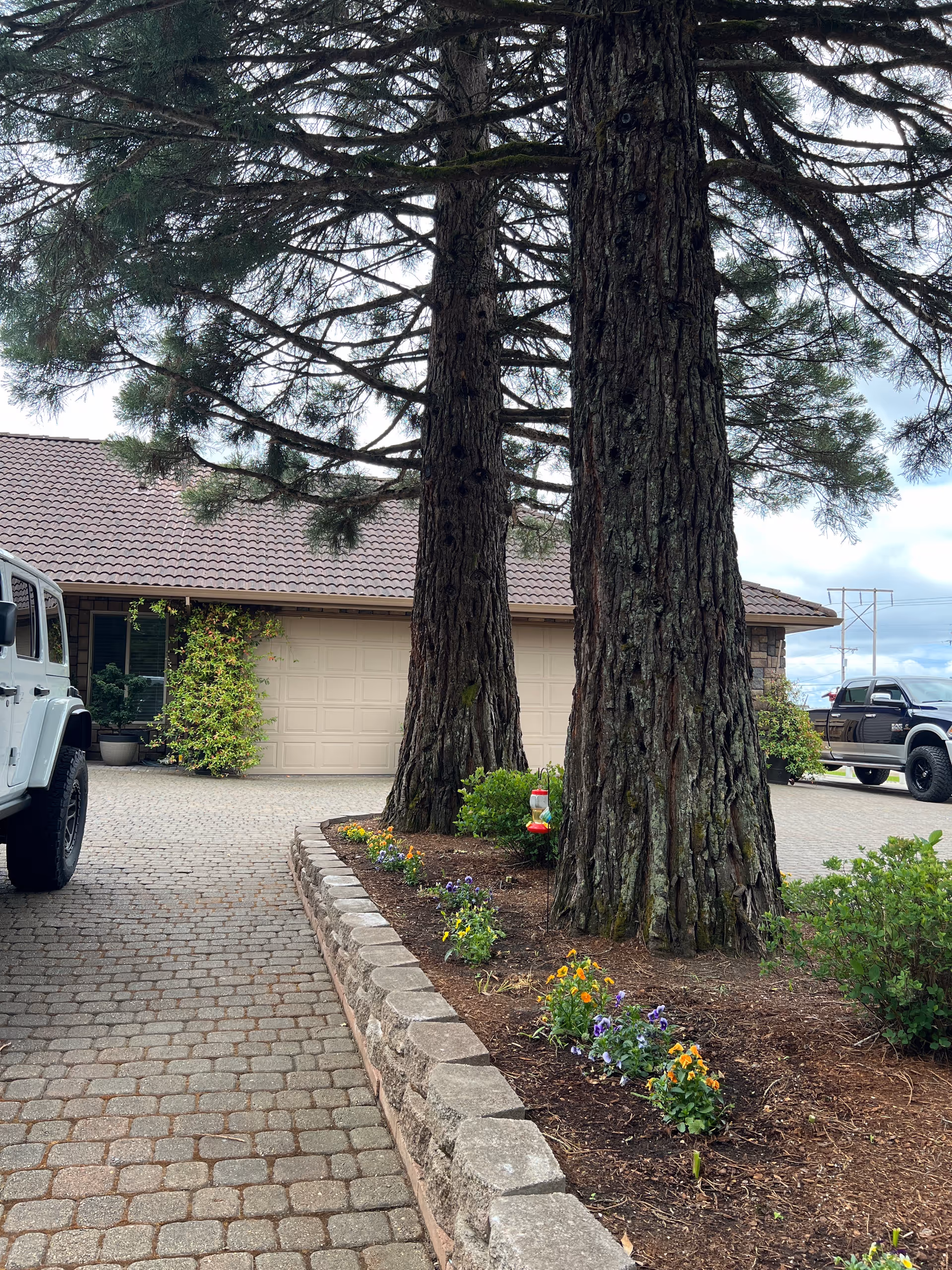 Driveway and house front with two large tree trunks in a raised flower bed, colorful flowers, a garage, and parked vehicles.