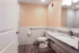 A clean and modern bathroom with a white toilet, a granite countertop with a sink, a large mirror above the sink, beige walls, and wood-look tile flooring. There are safety grab bars next to the toilet and a toilet paper holder mounted on the wall.