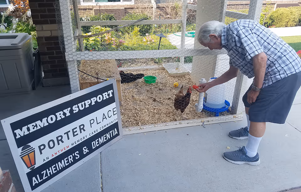 An elderly man wearing a plaid shirt, shorts, white socks, and sneakers is feeding a chicken inside a small outdoor chicken coop. There is a sign next to the coop that reads 'Memory Support Porter Place An Anthem Memory Care Community Alzheimer's & Dementia.' The setting appears to be a garden or patio area with greenery in the background.