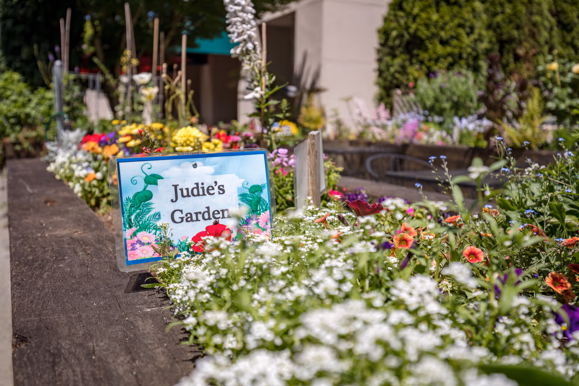 A colorful raised flower bed with a sign reading 'Judie's Garden' surrounded by blooming flowers.