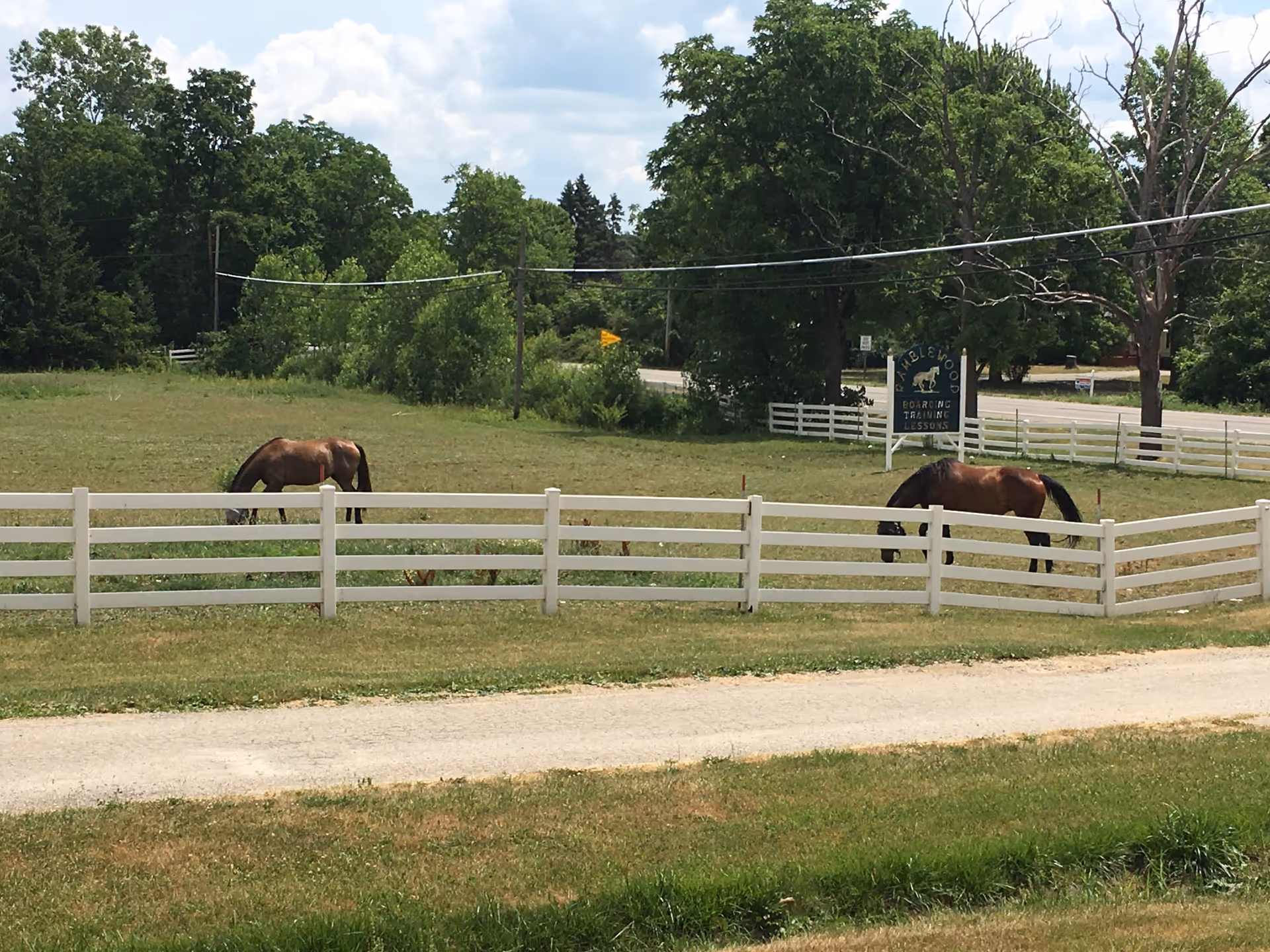 Two brown horses grazing in a fenced grassy field with trees and a road in the background under a partly cloudy sky.