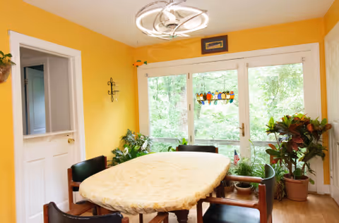 A bright dining room with yellow walls, a rectangular table covered with a beige tablecloth, surrounded by six dark wooden chairs with black cushions. Large windows and a glass door provide a view of green trees outside. Several potted plants are placed near the windows and in the corners of the room. A modern circular light fixture hangs from the ceiling.