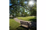 A sunny outdoor park area with a wooden bench in the foreground, a paved walking path curving through green grass, and large leafy trees providing shade.