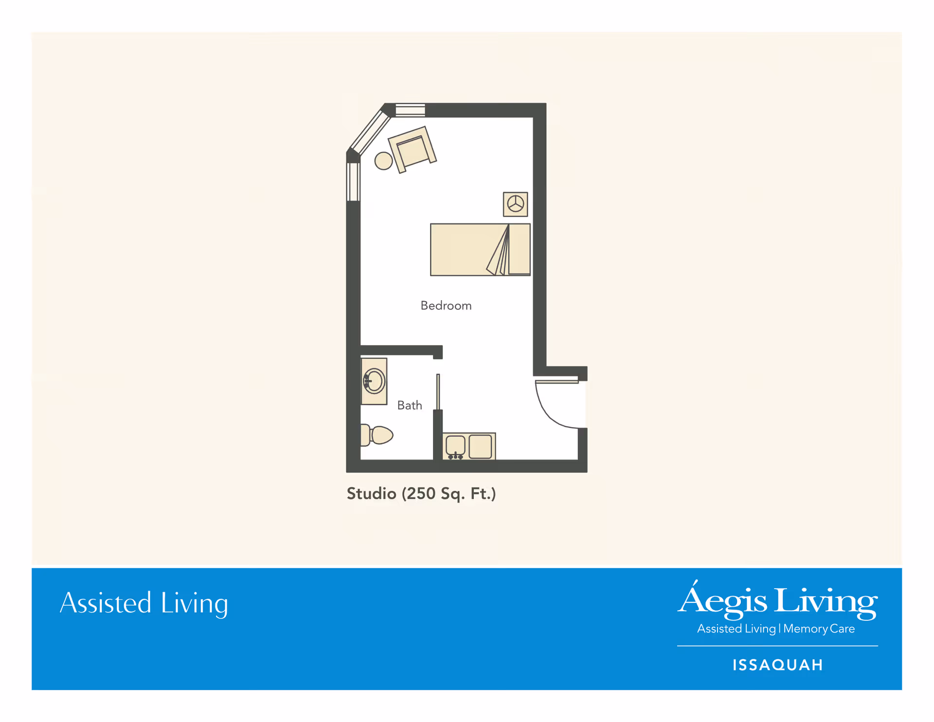 Floor plan of a studio apartment with 250 square feet, showing a bedroom area with a bed, chair, and table, a bathroom with a sink and toilet, and a small kitchenette near the entrance.