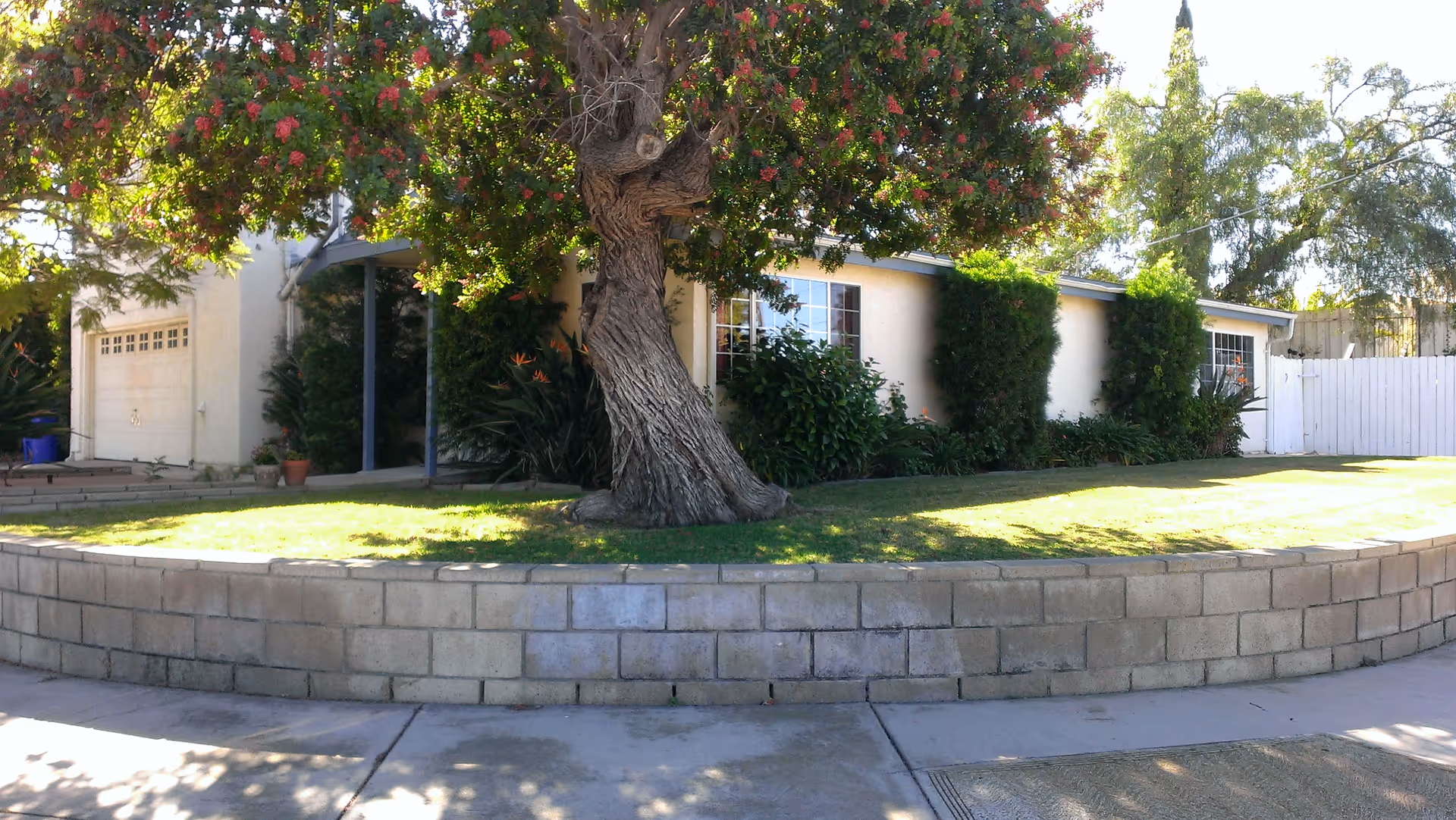 Exterior view of a single-story building with a large tree in front, surrounded by a low brick retaining wall and a well-maintained lawn. The building has light-colored walls, several windows, a garage door, and a white wooden fence on the right side. There are various shrubs and plants near the building.