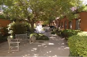 Outdoor courtyard area with benches, trees, and shrubs alongside a brick building under a sunny sky.