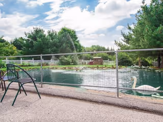 Outdoor pond area with a white swan swimming near a metal fence. There are green trees and shrubs surrounding the pond under a partly cloudy sky. A black metal chair is placed on the paved area near the fence.