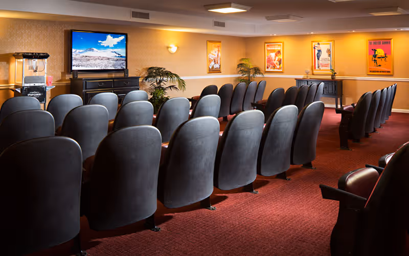Rows of theater-style seats facing a large TV screen in a cozy screening room with red carpet and framed posters on the walls.