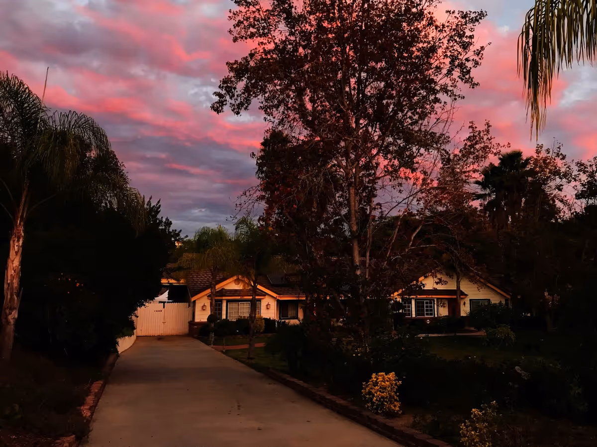 Driveway leading to a single-story house surrounded by trees under a pink sunset sky.