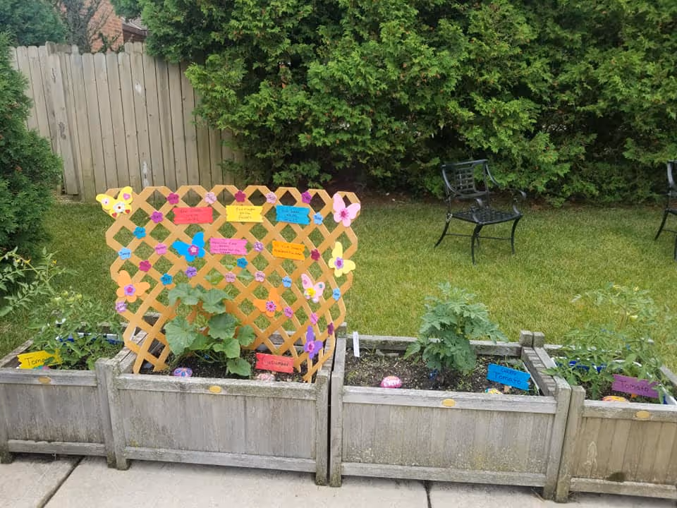 Wooden planter boxes with a decorated lattice trellis and labeled plants in a backyard lawn with chairs and a wooden fence.