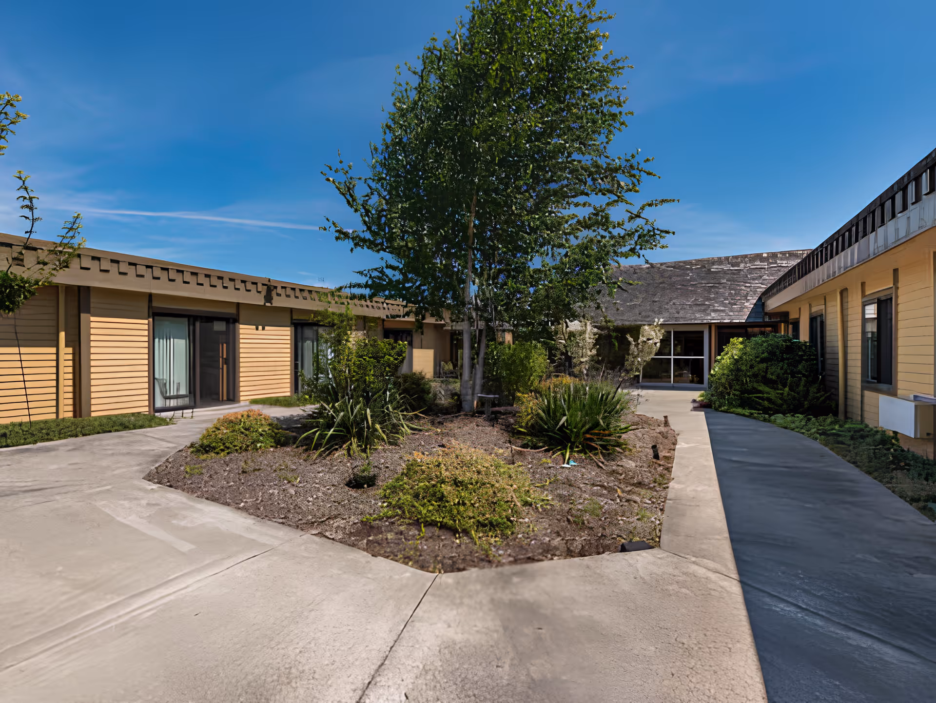 Outdoor courtyard area at Avamere Olympic Rehabilitation of Sequim featuring a central garden bed with shrubs and a tree, surrounded by a paved walkway and single-story building with yellow siding and windows under a clear blue sky.