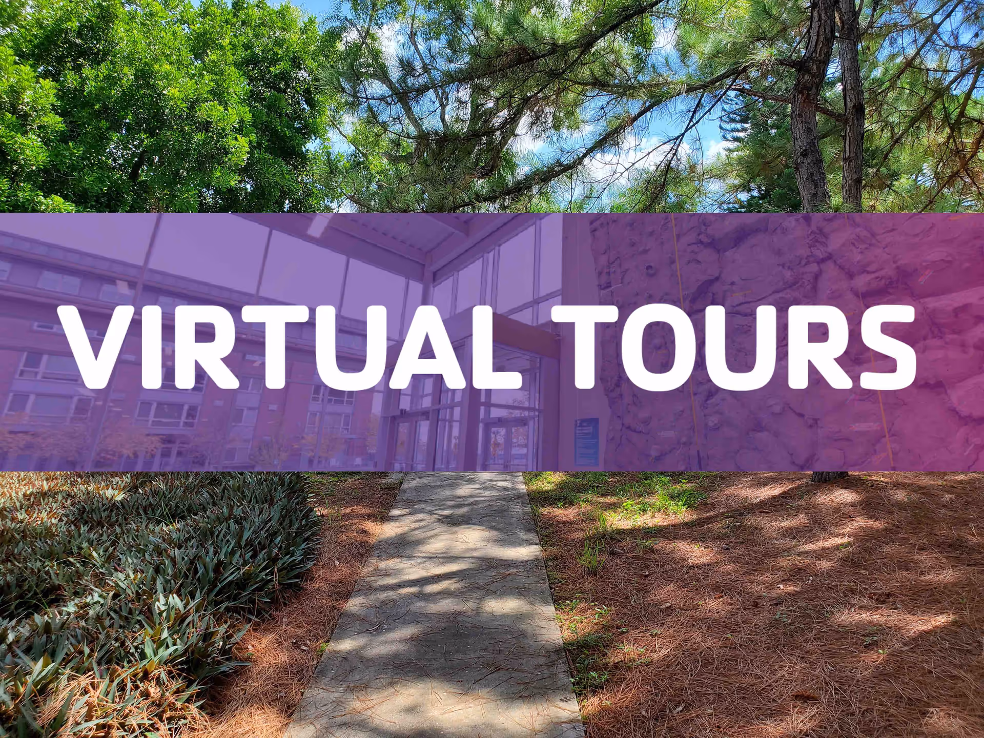 Concrete walkway through landscaped grounds with trees and plants, overlaid by a large purple banner reading "VIRTUAL TOURS".