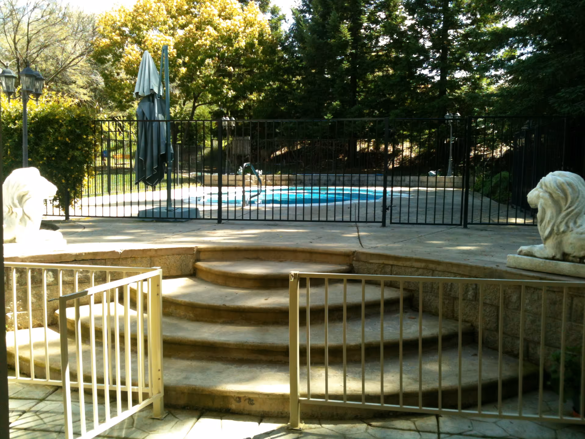 Outdoor area with a small swimming pool surrounded by a black metal fence. In the foreground, there are curved stone steps leading up to the pool area, flanked by two white lion statues. Trees and greenery are visible in the background.