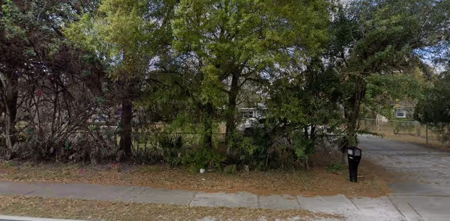 A view of a residential area partially obscured by dense green trees and bushes, with a sidewalk and a mailbox visible in the foreground.