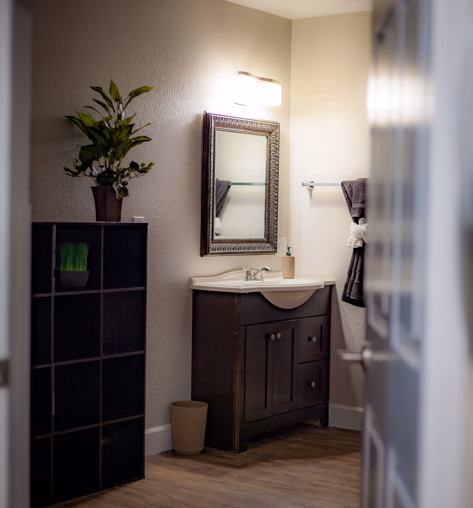 A small bathroom featuring a dark wood vanity with sink and mirror, a towel on a rack, shelving with a potted plant, and a hardwood floor.
