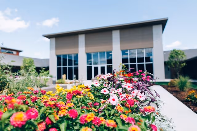 Colorful flower bed with various blooming flowers in front of a modern building with large glass windows under a blue sky with some clouds.