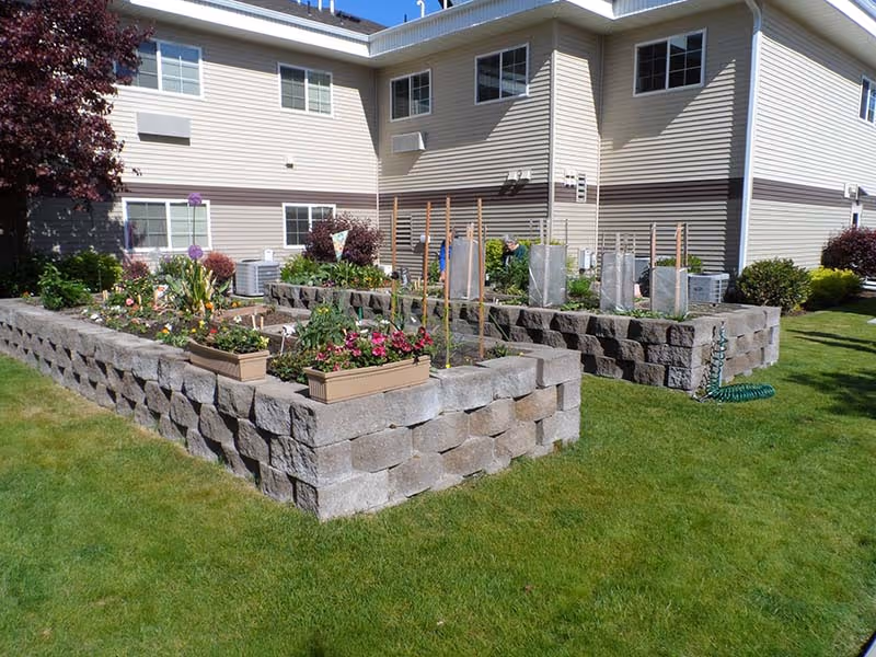 Raised stone garden beds with flowers and trellises on a grassy area beside a beige multi-story senior living building.