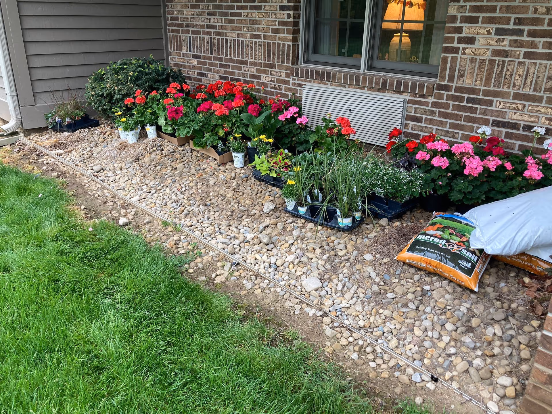 A garden area next to a brick building wall with various potted flowers and plants arranged on a bed of small rocks. There is a patch of green grass adjacent to the rock bed, and bags of soil or fertilizer are visible on the right side near the plants.