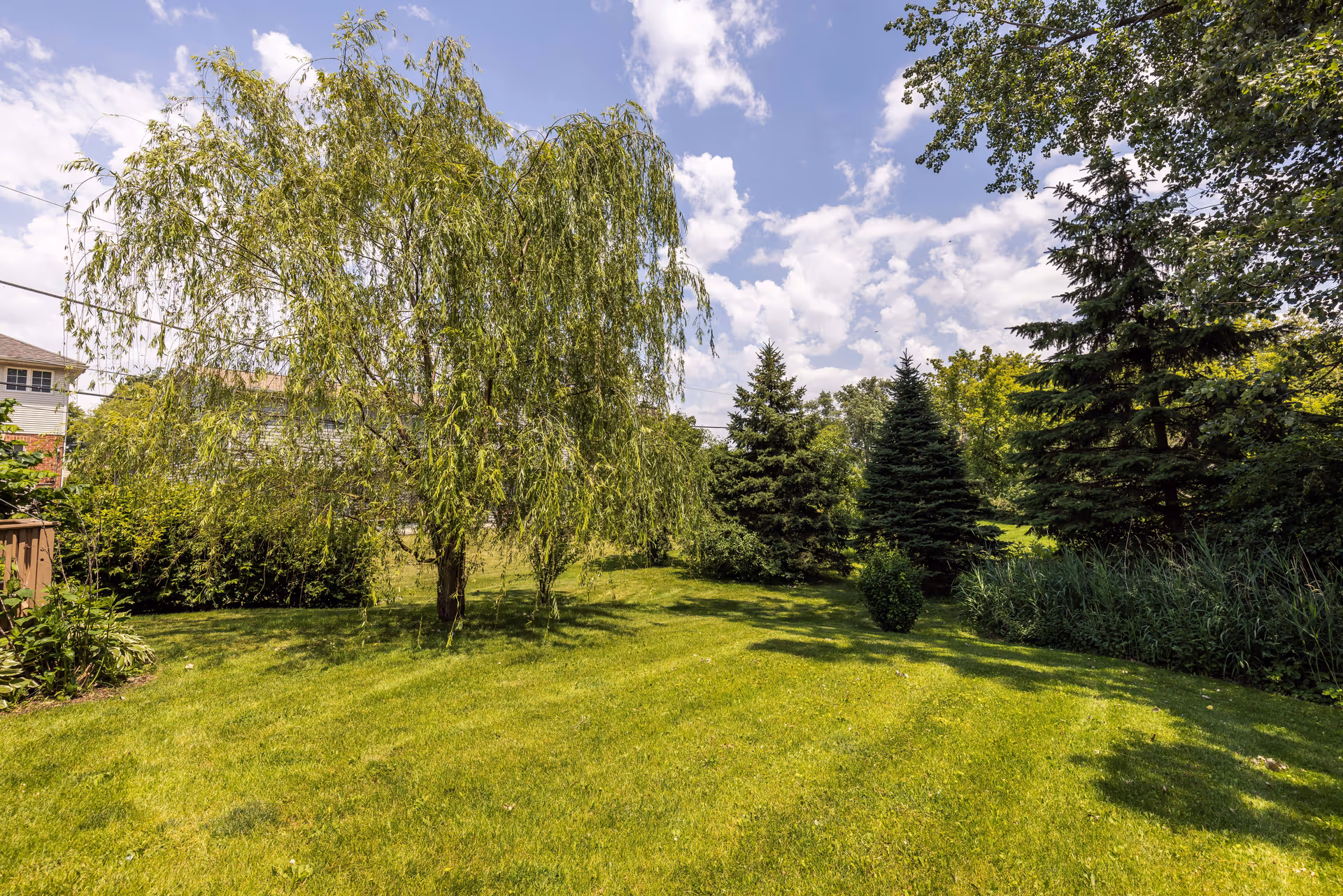 A sunny outdoor garden area with green grass, a large weeping willow tree in the center, several evergreen trees, and a partly cloudy blue sky.