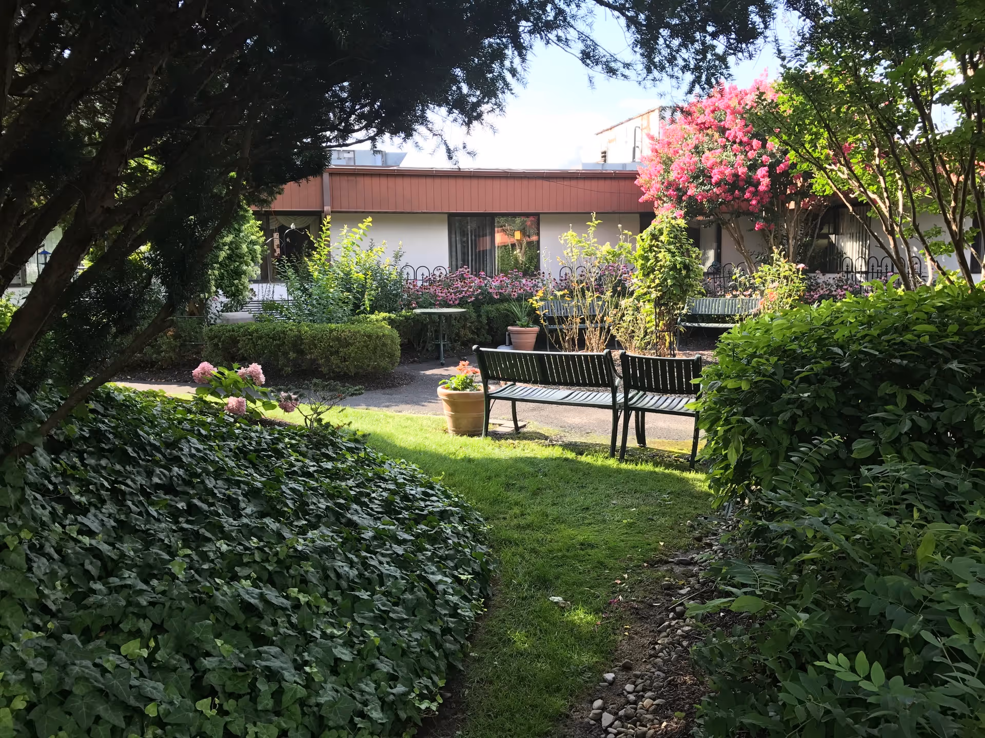 Courtyard garden with benches, potted plants, and blooming pink trees in front of a low building.