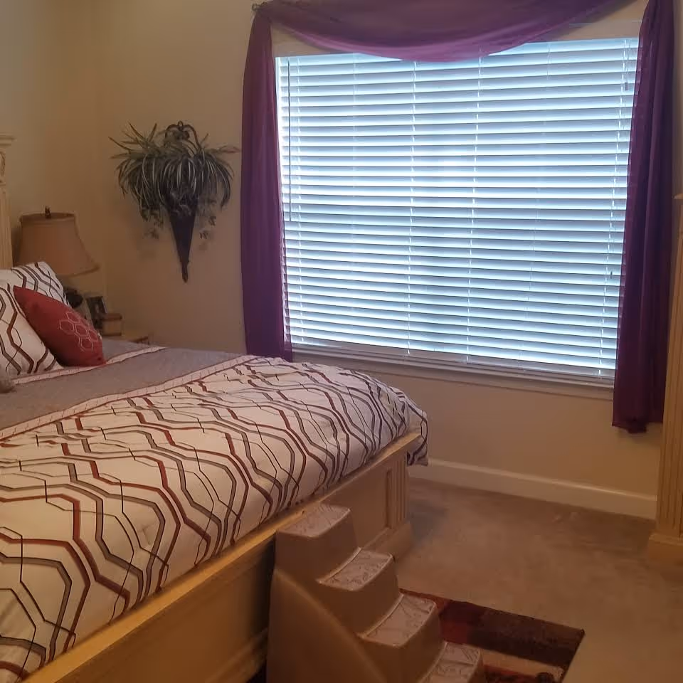 A bedroom with a large bed covered in a geometric patterned bedspread in shades of white, gray, and red. There is a small set of pet stairs at the foot of the bed. A window with closed white blinds and purple curtains is on the wall behind the bed. A wall-mounted plant and a bedside table with a lamp are visible on the left side.