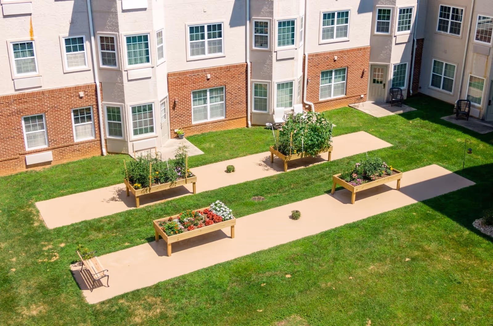 Outdoor courtyard garden area at The Legacy at North Augusta with raised garden beds containing various plants and flowers, surrounded by green grass and adjacent to a multi-story building with multiple windows and doors.