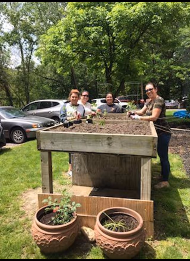 Four women standing around a raised wooden garden bed outdoors, planting small plants in the soil. Two large decorative pots with plants are in the foreground, and several parked cars and trees are visible in the background.