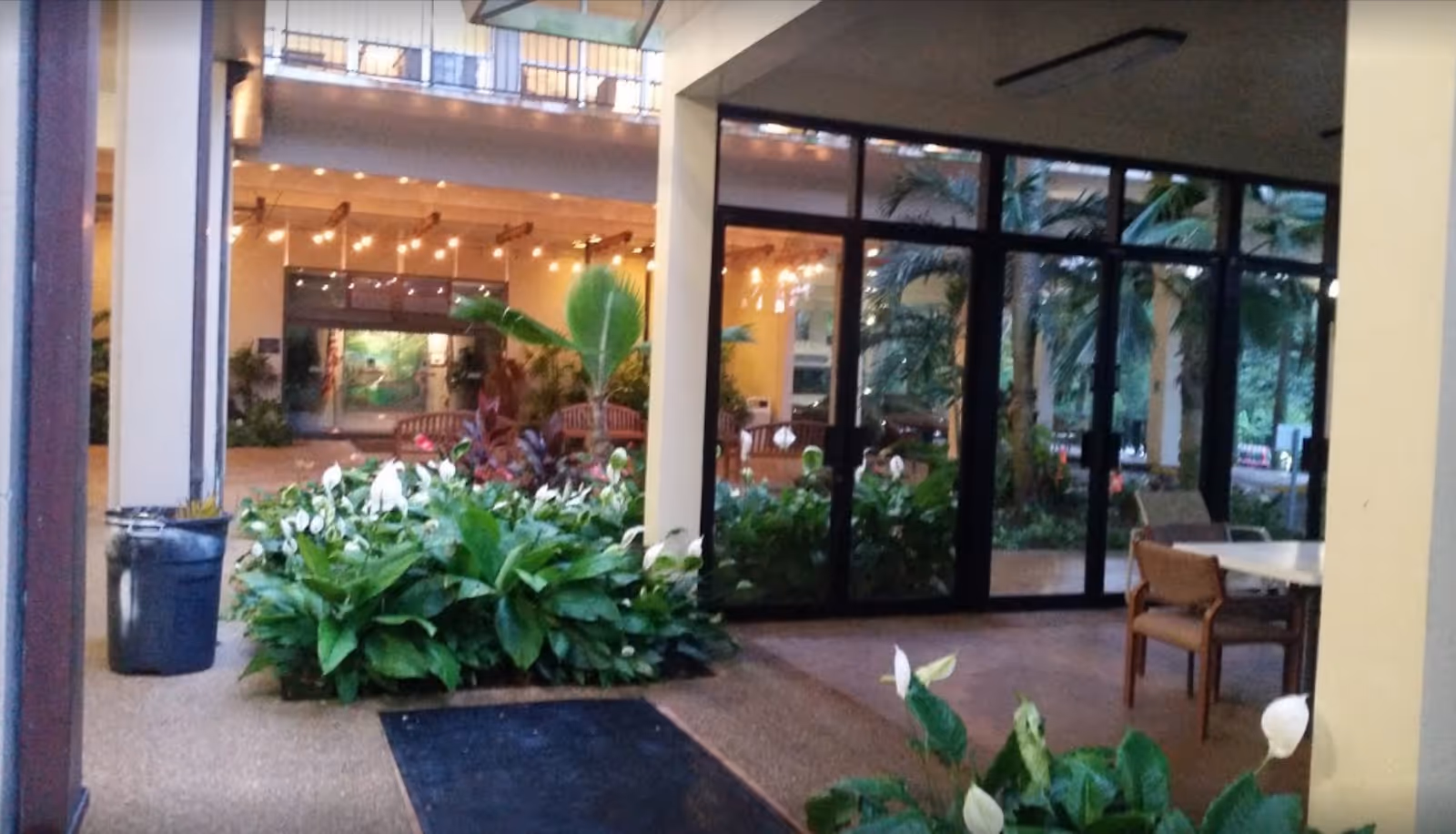 Indoor garden area with lush green plants and white flowers, surrounded by glass doors and windows. There are wooden benches and string lights hanging from the ceiling in the background, creating a warm and inviting atmosphere. A table with chairs is visible on the right side near the glass doors.