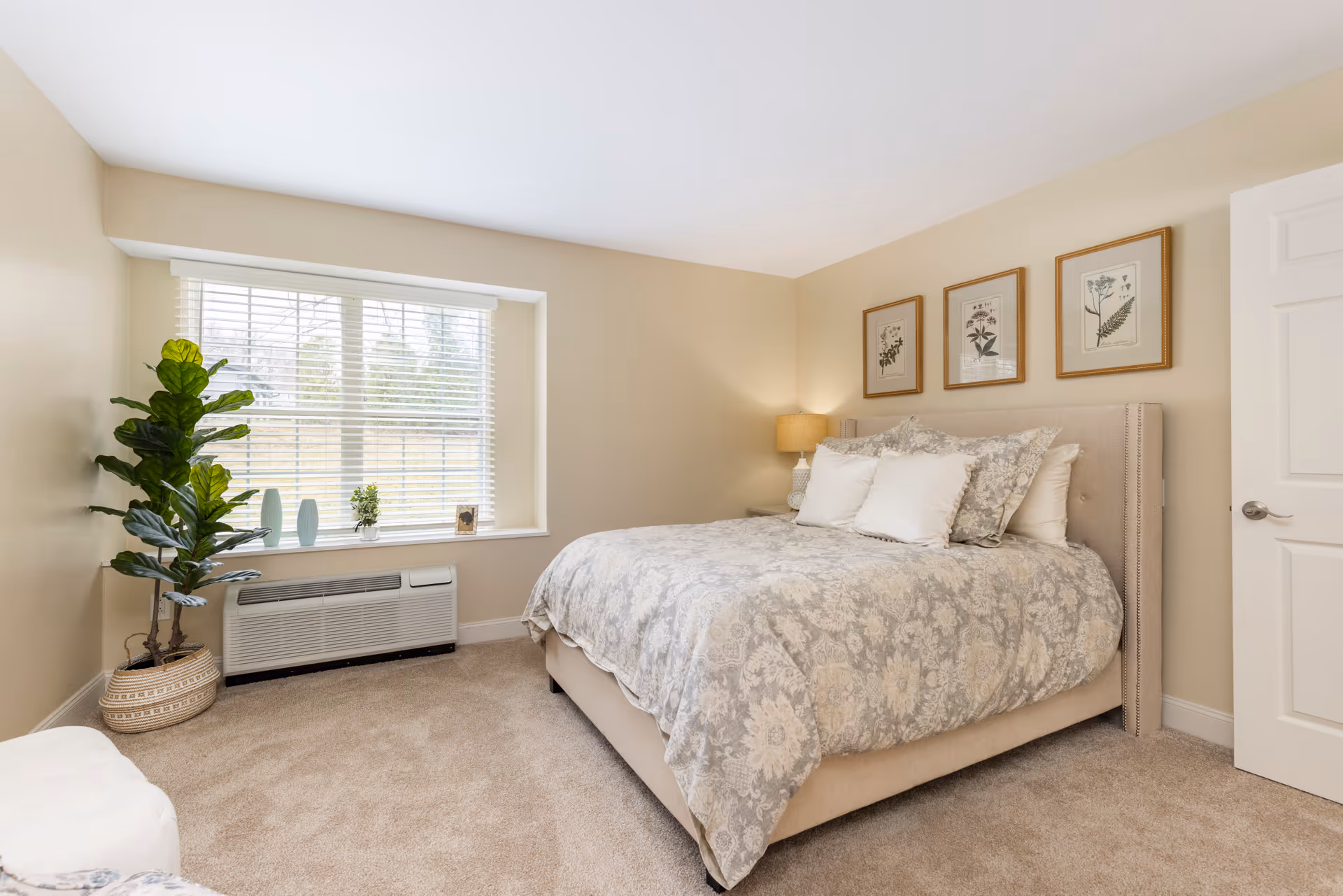 A cozy bedroom with a large bed covered in a floral patterned comforter and multiple pillows. There is a bedside table with a lamp, three framed botanical prints on the wall above the bed, a large window with blinds, a potted plant on the floor, and a white door partially open.