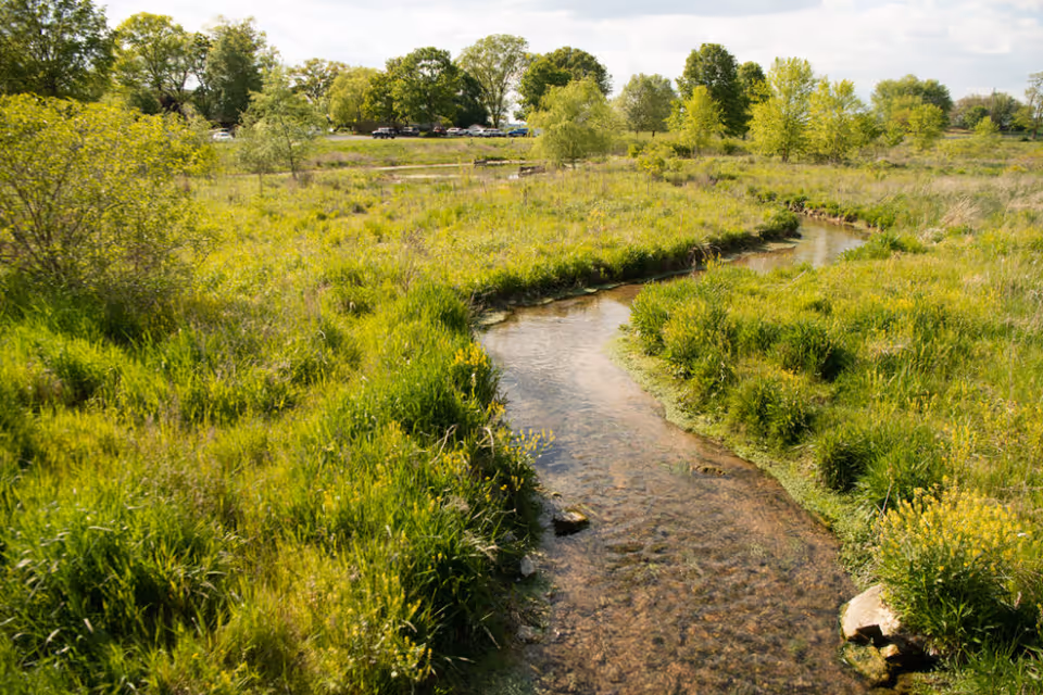 A peaceful outdoor scene featuring a small, clear stream winding through a grassy field with various green shrubs and trees under a partly cloudy sky. In the background, there are more trees and a few parked cars visible.