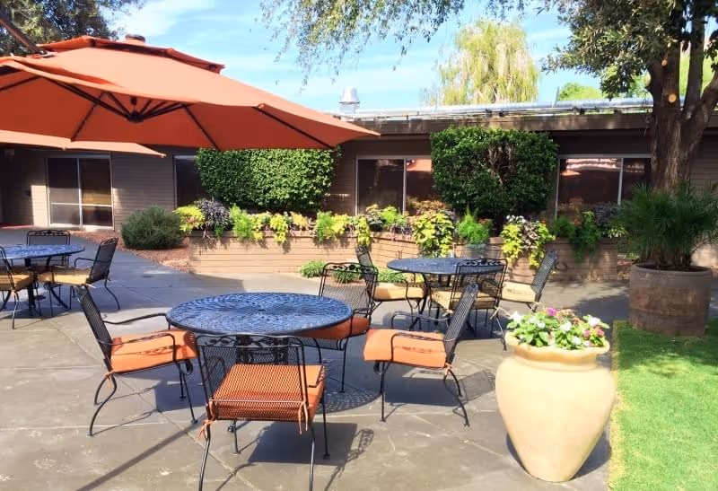 Outdoor patio area with several round metal tables and chairs with orange cushions, large orange umbrellas providing shade, potted plants, and greenery along the building wall under a clear blue sky.