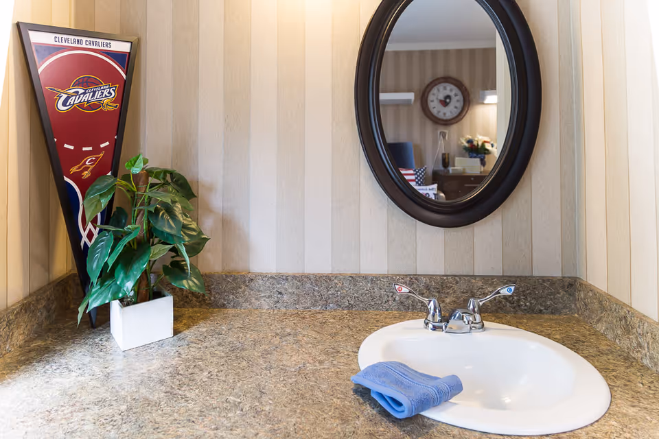Vanity countertop with a sink and faucet, a blue towel, round mirror, potted plant, and a Cleveland Cavaliers pennant against striped wallpaper.